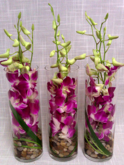 Композиция из орхидей в вазе-цилиндре
